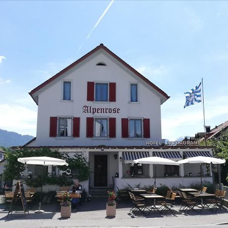 Hotel Alpenrose Maienfeld Esterno foto